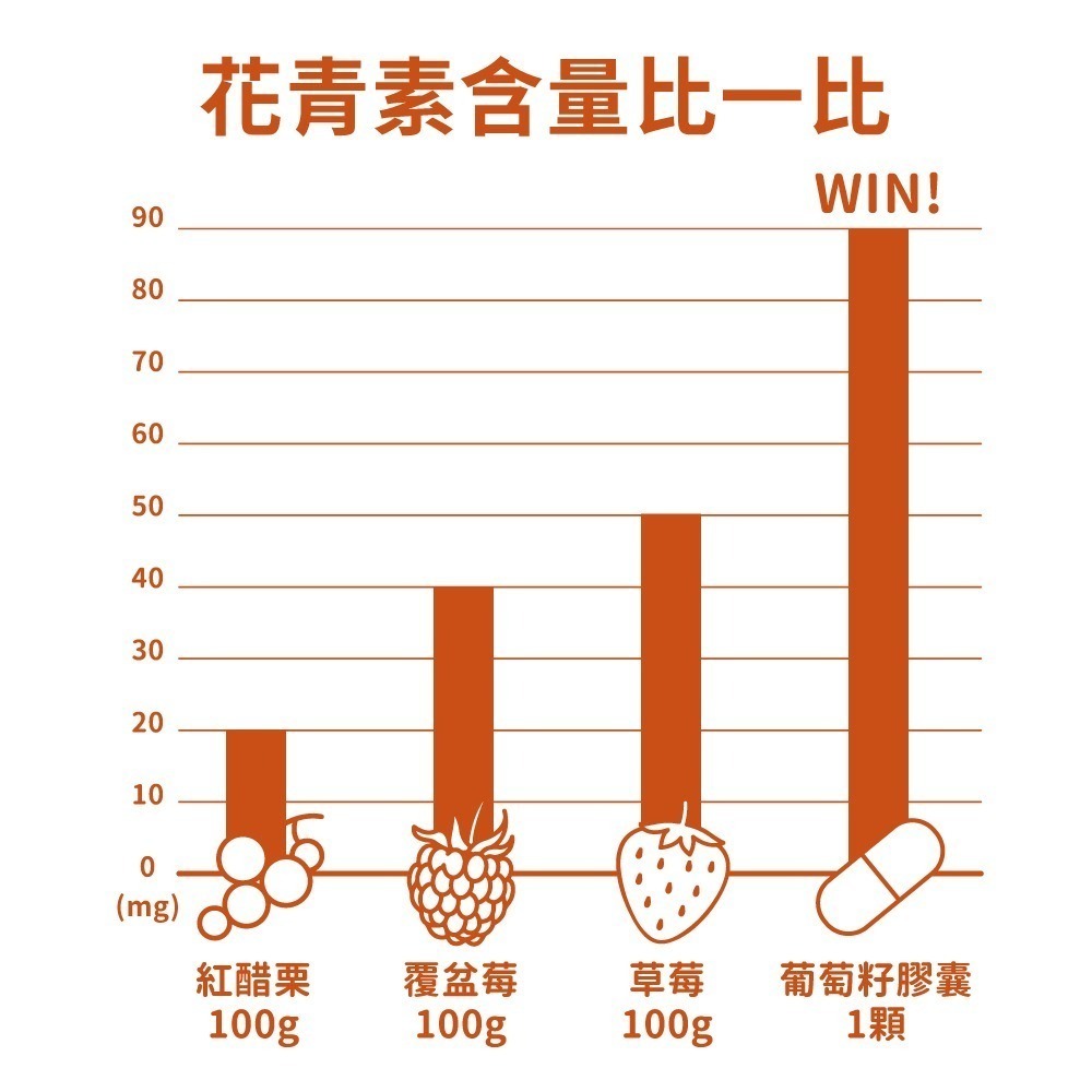 now 葡萄籽萃取+C膠囊1瓶(100顆)-細節圖5