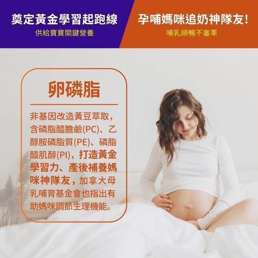 now 卵磷脂膠囊1瓶(100顆)-細節圖4