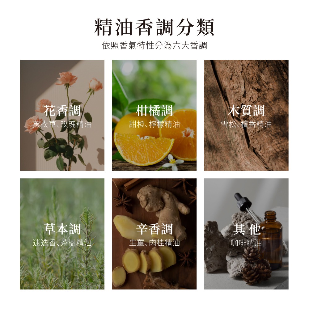 now 茶樹精油 Tea Tree Oil-細節圖5