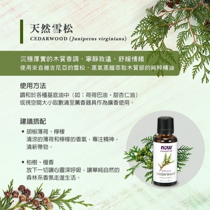 now 雪松精油 Cedarwood Oil-細節圖3