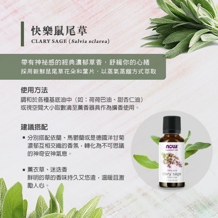 now 快樂鼠尾草精油 Clary Sage Oil-細節圖2