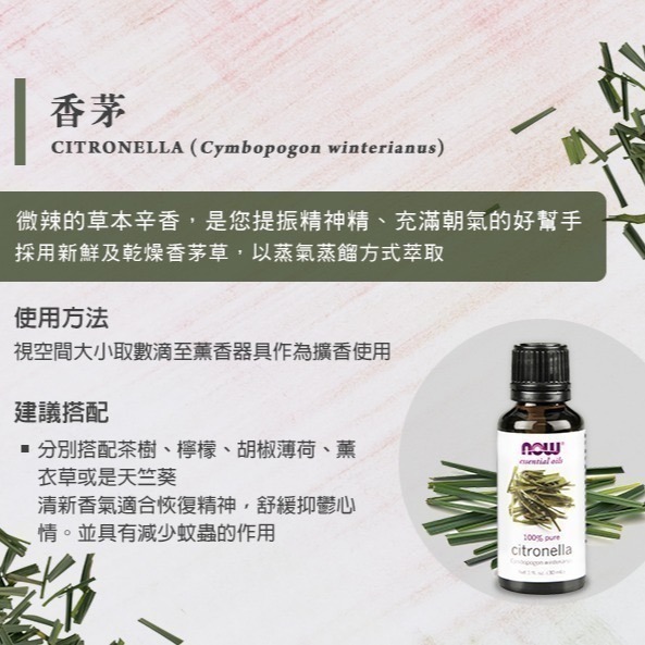 now 香茅精油 Citronella Oil-細節圖2