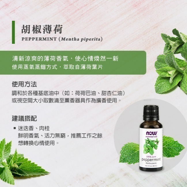 now 胡椒薄荷精油 (30mL) Peppermint Oil-細節圖2