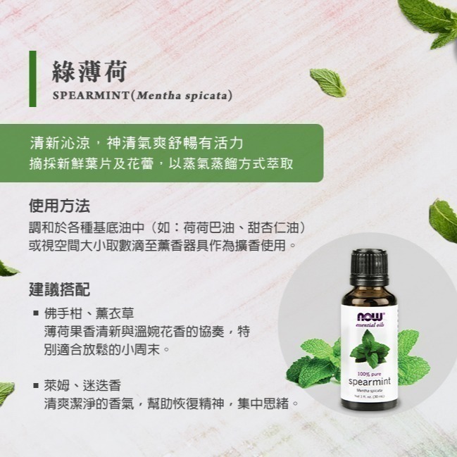 now 綠薄荷精油 (30mL) Spearmint Oil-細節圖3