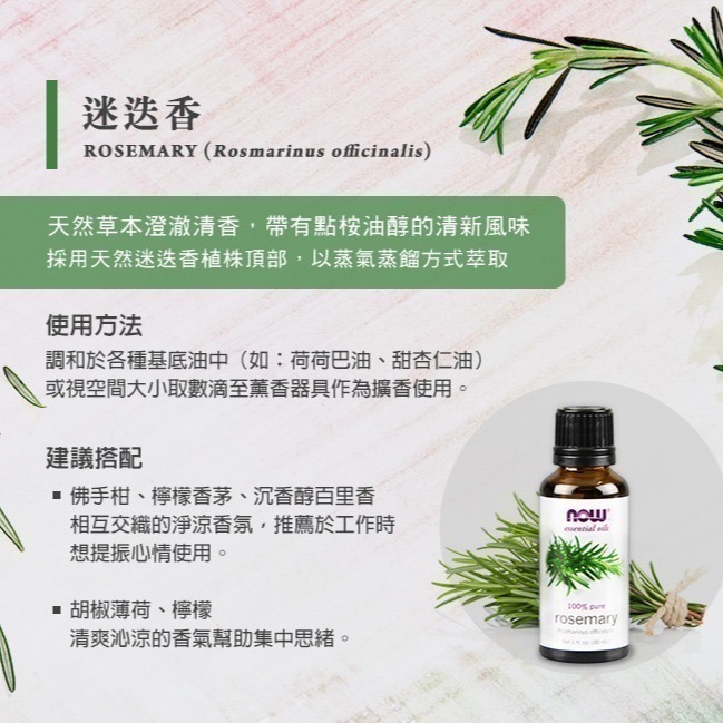 now  迷迭香精油 Rosemary Oil-細節圖3