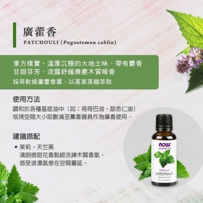 now 廣藿香精油 (30mL) Patchouli Oil-細節圖3