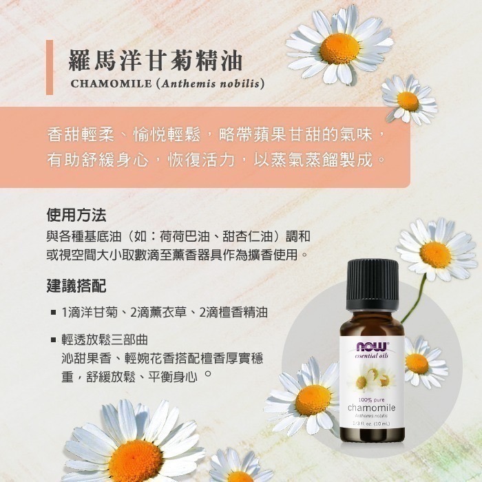 now 羅馬洋甘菊精油 (10mL) Chamomile Oil-細節圖3