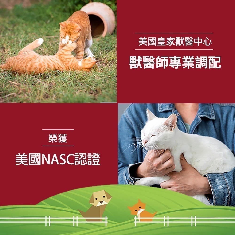 now 寵物貓用左旋離胺酸粉-細節圖4