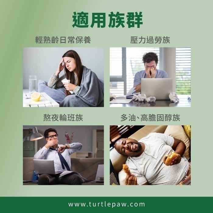 【Bestvite】必賜力朝鮮薊萃取膠囊1瓶(90顆)-細節圖6