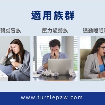 【Bestvite】必賜力高濃縮蜂膠膠囊2瓶組(120顆/瓶)-細節圖6