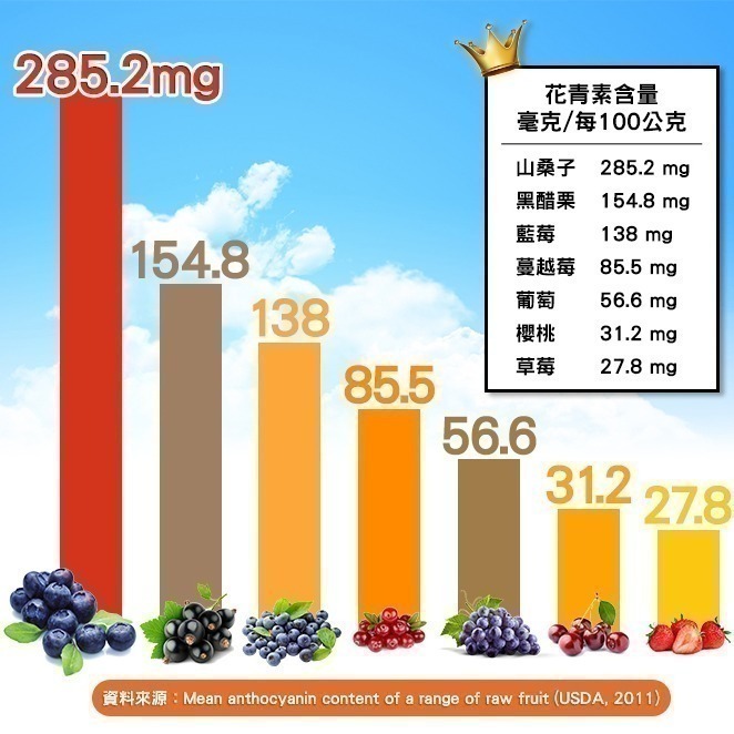 【Bestvite】必賜力山桑子萃取膠囊1瓶(60顆/瓶)-細節圖5