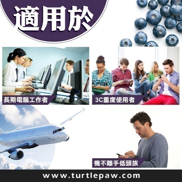 【Bestvite】必賜力山桑子萃取膠囊1瓶(60顆/瓶)-細節圖7