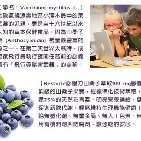 即期品【Bestvite】必賜力山桑子萃取膠囊1瓶(60顆/瓶) 2027/05-細節圖4