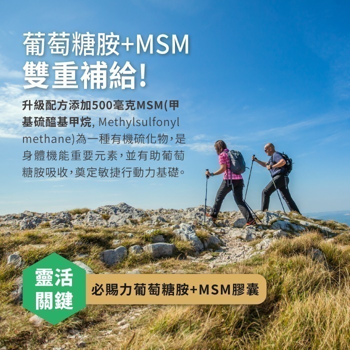 即期品【Bestvite】必賜力葡萄糖胺+MSM膠囊1瓶(120顆) 2027/05-細節圖3