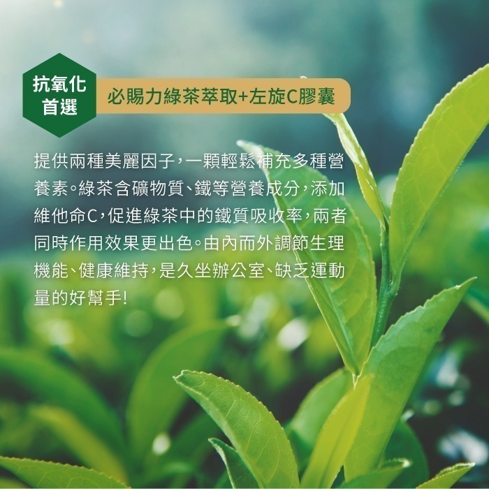 【Bestvite】必賜力綠茶萃取+維生素C膠囊1瓶(120顆)-細節圖3