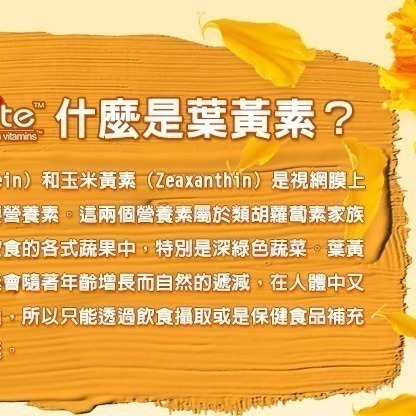 【Bestvite】必賜力專利型葉黃素膠囊1瓶(90顆) [FloraGLO專利葉黃素]-細節圖3