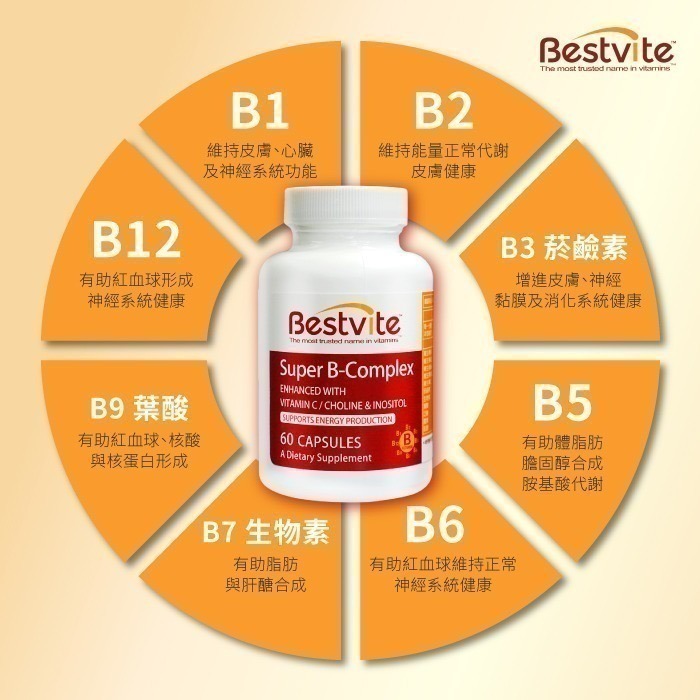【Bestvite】必賜力超級維他命B群膠囊1瓶(60顆)-細節圖3