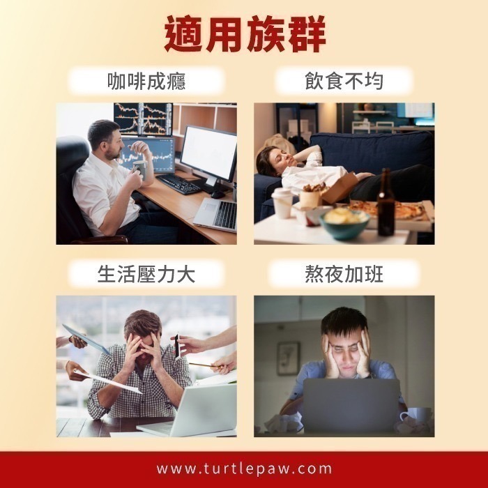 【Bestvite】必賜力超級維他命B群膠囊1瓶(60顆)-細節圖6