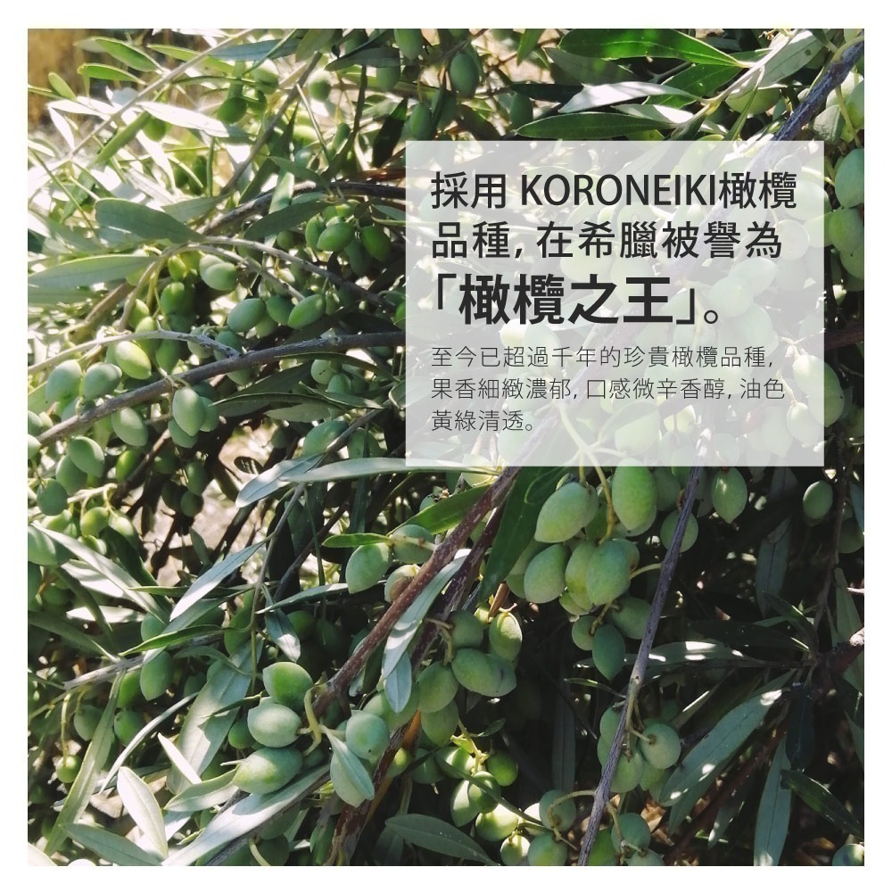 【Thea of Crete】希亞頂級初榨橄欖油1瓶(750毫升)-細節圖3