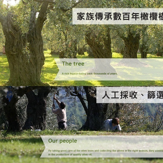 [買1送1] 即期品【Oleum Crete】奧莉恩頂級初榨橄欖油1瓶(750毫升) 第一道冷壓初榨/希臘原瓶原裝-細節圖5