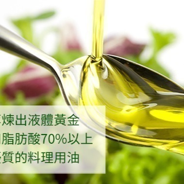 [買1送1] 即期品【Oleum Crete】奧莉恩頂級初榨橄欖油1瓶(750毫升) 第一道冷壓初榨/希臘原瓶原裝-細節圖6