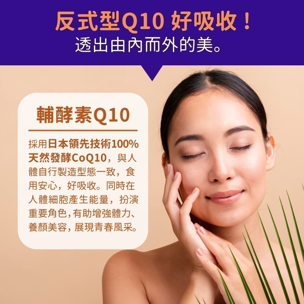 now 輔酵素Q10(輔酶Q10)膠囊1瓶(60顆)-細節圖4