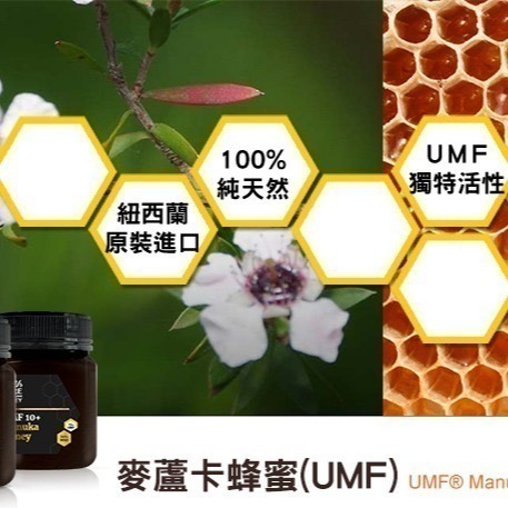 【紐西蘭恩賜】麥蘆卡蜂蜜UMF10+ (250公克/瓶)-細節圖3