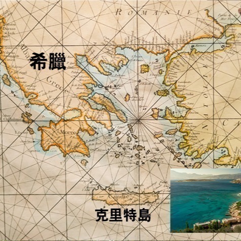 【Oleum Crete】奧莉恩頂級初榨橄欖油1瓶(250毫升)-細節圖3