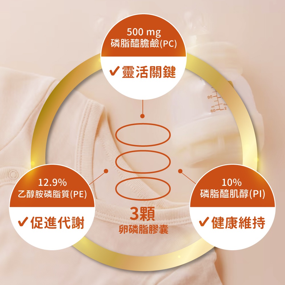 now 卵磷脂膠囊3瓶組(100顆/瓶)-細節圖5