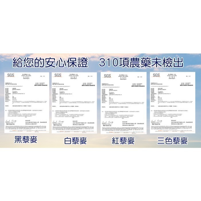 【JAUZ喬斯】白藜麥QUINOA 1包(350公克)-細節圖6