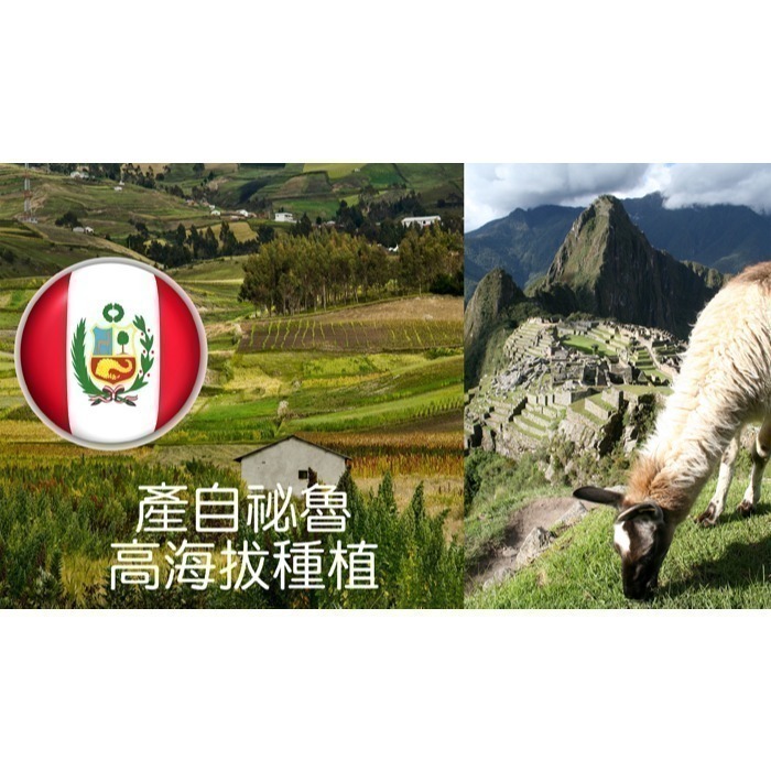 【JAUZ喬斯】紅藜麥QUINOA 1包(350公克)-細節圖3