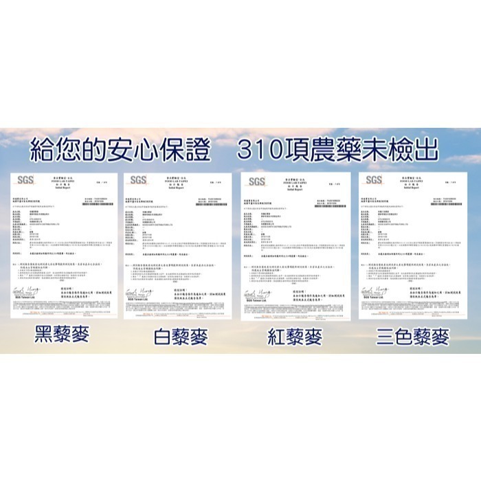 【JAUZ喬斯】三色藜麥QUINOA 1包(350公克)-細節圖6