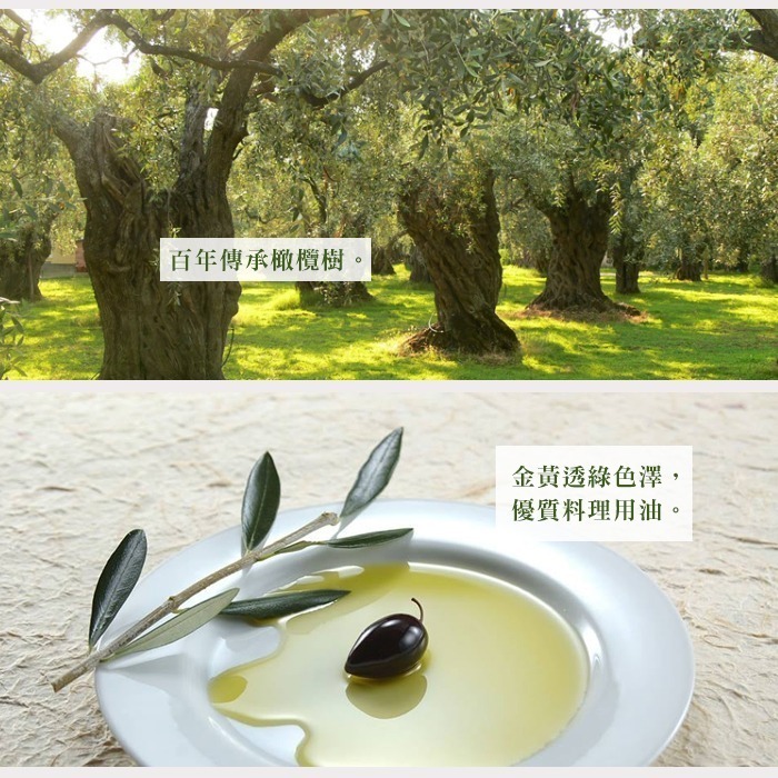 【Syllogi】斯洛奇頂級初榨橄欖油禮盒(750毫升/瓶)/盒 附提袋 [非現貨]-細節圖5