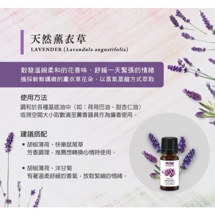 now 薰衣草精油 (10mL) Lavender Oil-細節圖2