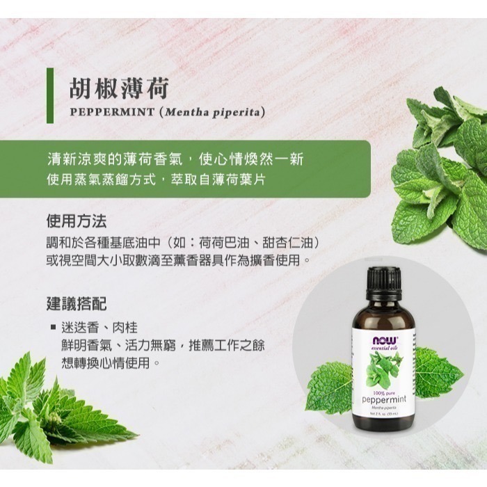 now 胡椒薄荷精油 (59mL) Peppermint Oil-細節圖2