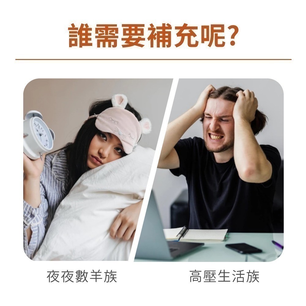 now 左旋色胺酸膠囊1瓶(60顆)-細節圖5