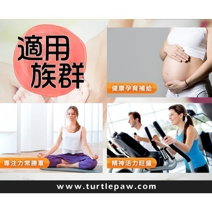 【Bestvite】必賜力膽鹼+肌醇膠囊1瓶(100顆)-細節圖7