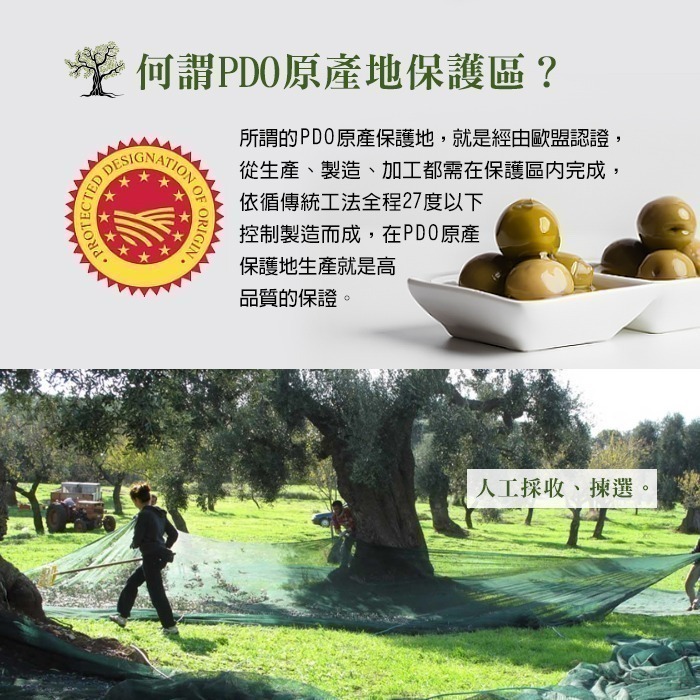 【Syllogi】斯洛奇頂級初榨橄欖油1瓶(100毫升)-細節圖4