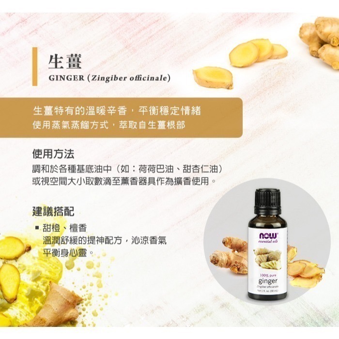 now 生薑精油 Ginger Oil-細節圖2