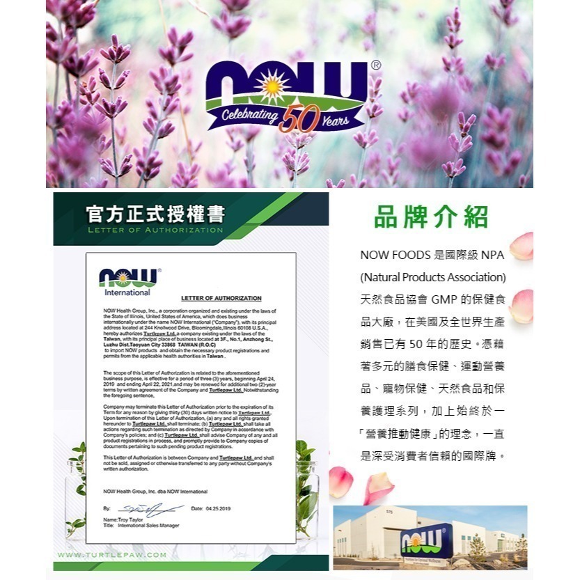 now 薄荷椰子油牙膏 Coconut Oil Toothpaste Gel-細節圖5