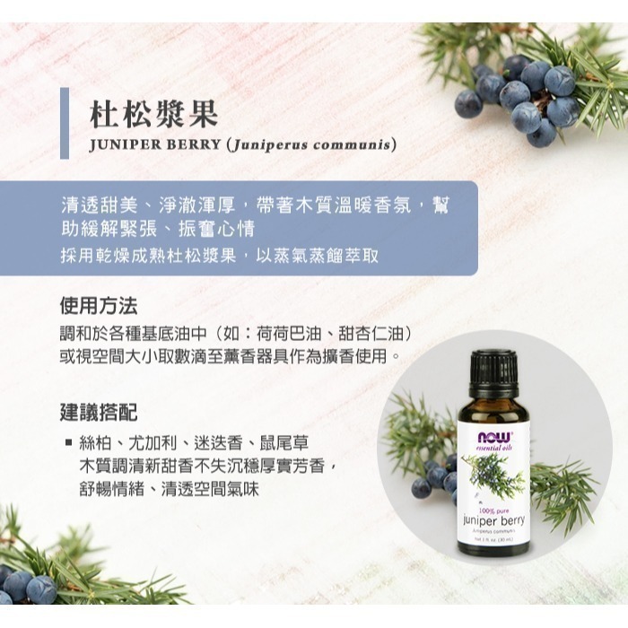 now 杜松漿果精油 Juniper Berry Oil-細節圖3