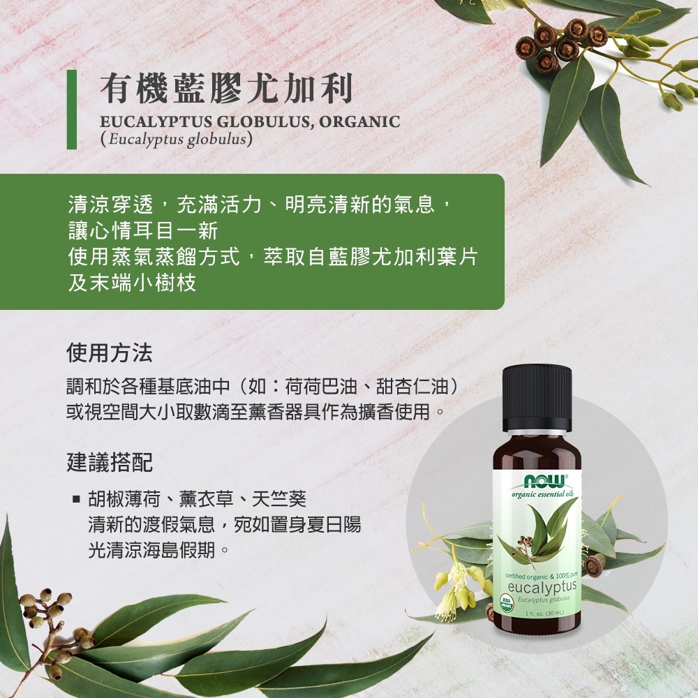 now 有機認證成分純藍膠尤加利精油 Eucalyptus Globulus Oil, Organic-細節圖2