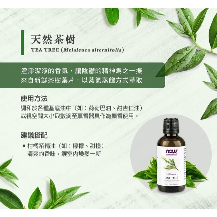 now 茶樹精油 (59mL) Tea Tree Oil-細節圖2