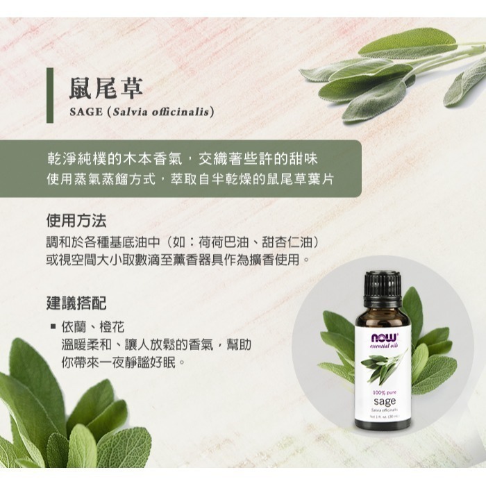 now 鼠尾草精油 (30mL) Sage Oil-細節圖3