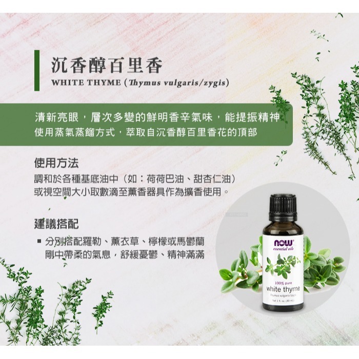 now 沉香醇百里香精油 (30mL) White Thyme Oil-細節圖3