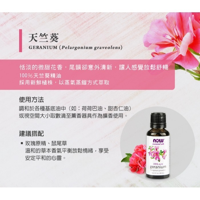 now 天竺葵精油 (30mL) Geranium Oil-細節圖3