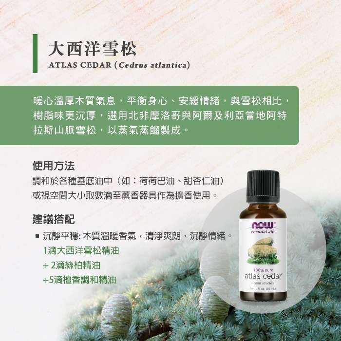 now 大西洋雪松精油 (30mL) Atlas Cedar Oil-細節圖3