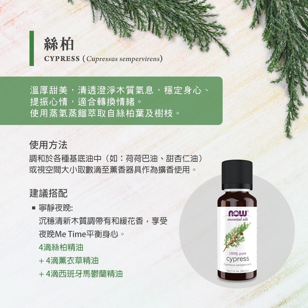 now 絲柏精油 (30mL) Cypress Oil-細節圖3