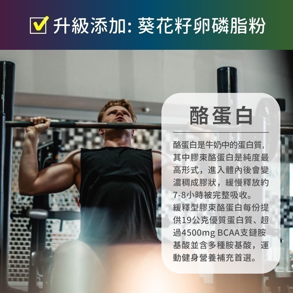 now 無調味酪蛋白粉1瓶(816公克) 19g 蛋白質 4.7g BCAA Informed-Sport認證-細節圖5