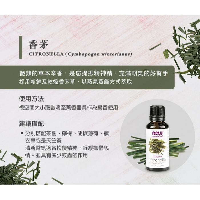 now 薰衣草精油+香茅精油 舒緩心情組合-細節圖3